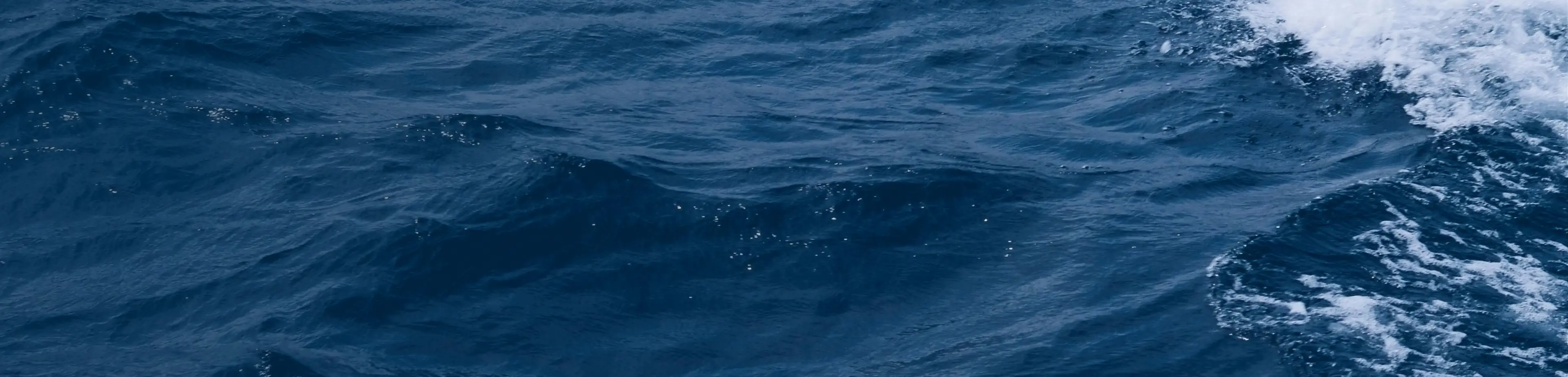 Water Quality