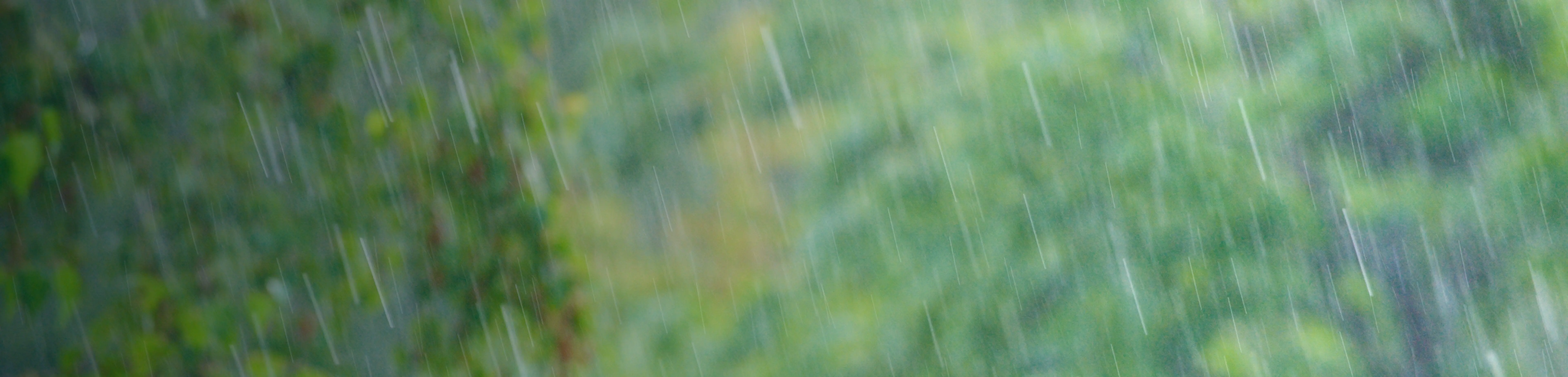 Weather